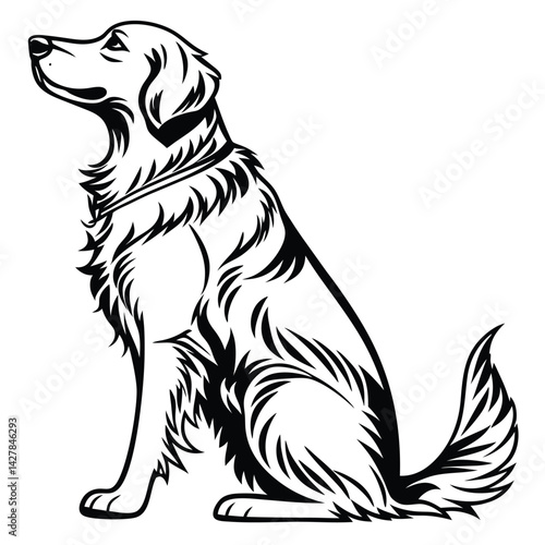 Wallpaper Mural Black and white illustration, golden retriever, sitting dog. Torontodigital.ca