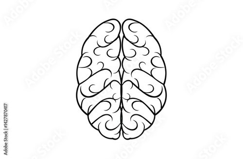 human brain vector illustration