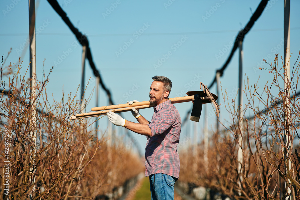 Man with gardening tools for maintaining blueberries organic farm.
