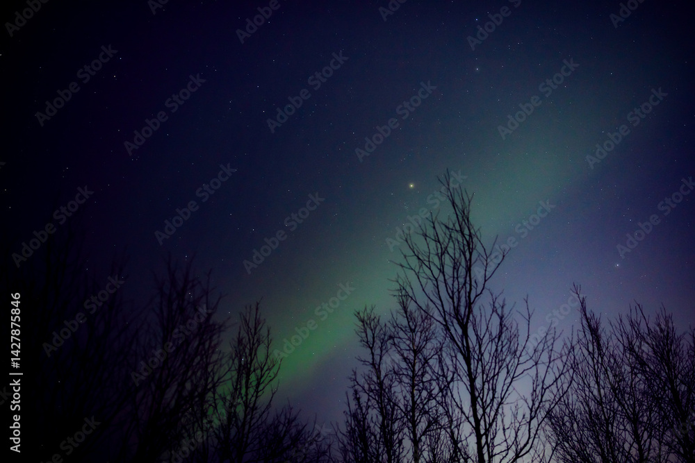 Aurora borealis, polar lights with Milky Way stars.