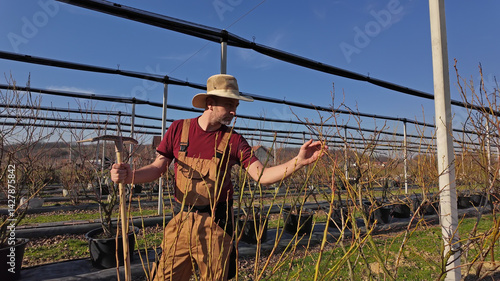 Obraz na płótnie Male gardener working in a blueberries organic farm. w salonie