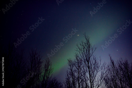 Obraz na płótnie Aurora borealis, polar lights with Milky Way stars. w salonie
