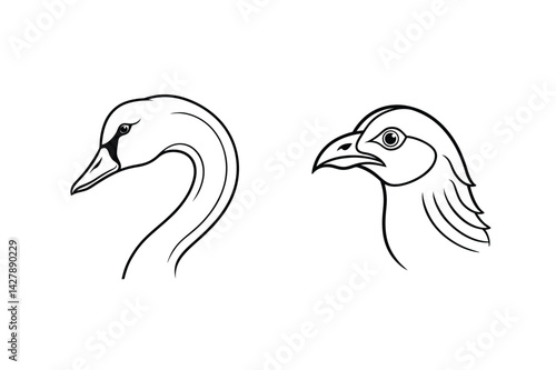 Elegant swan and sharp bird heads line art graphic design elements for creative projects