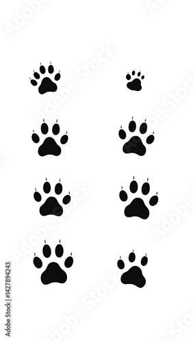Vector silhouette of muddy dog and bear paw prints, scattered naturally across a white background, textured grunge effect.
