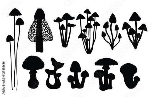 The set silhouettes of forest mushrooms.