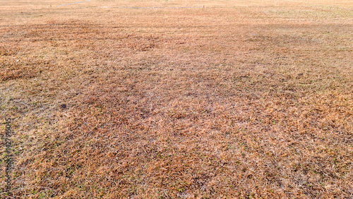 Foto Aerial view of a vast dry grassland or savanna landscape