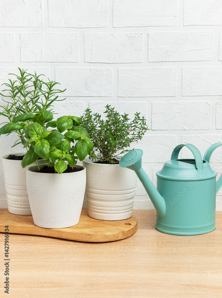 Fresh herbs growing in pots with watering can on wooden table