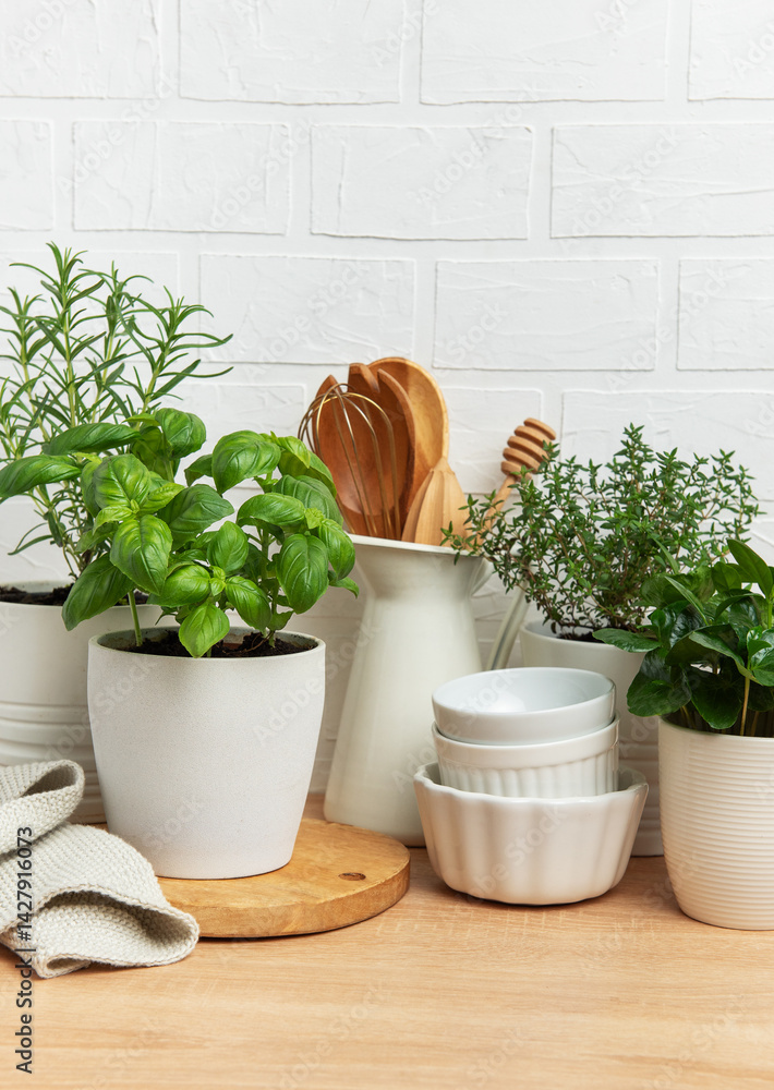 Fresh herbs growing in pots decorating modern kitchen countertop
