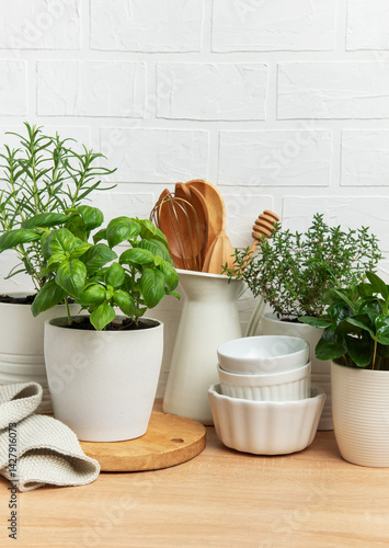 Obraz na płótnie Fresh herbs growing in pots decorating modern kitchen countertop w salonie