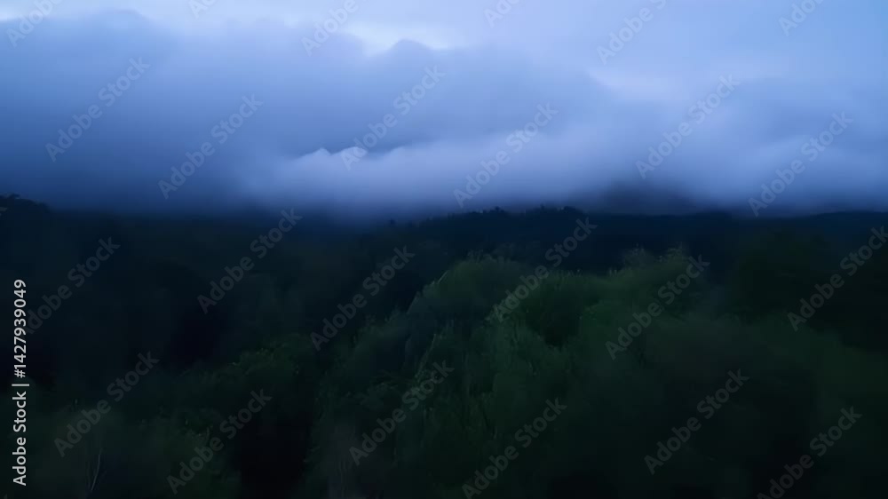 Cloudy Sky Over Forest Aerial View Moving Mist Natural Light Cloudy Sky Over Forest Aerial View Moving Mist Natural Light