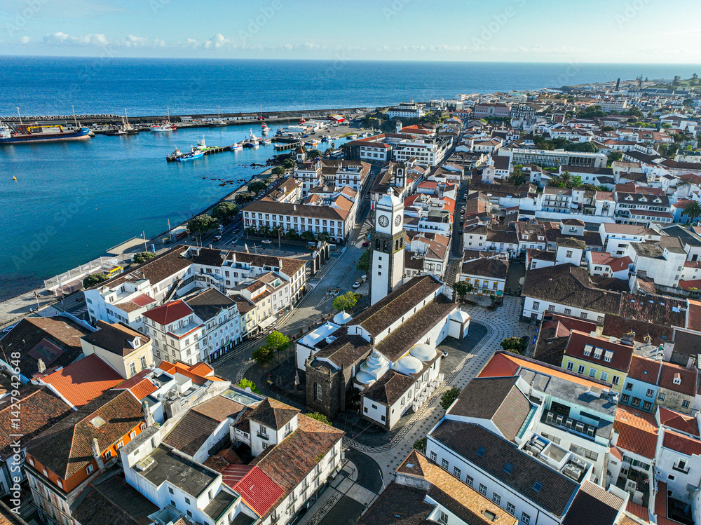 Obraz premium Residential district of Ponta Delgada with red rooftops, greenery, and scenic hills in the background