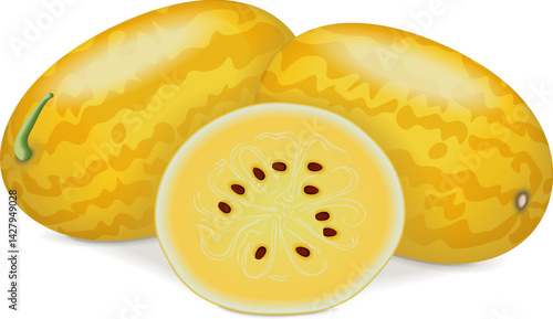 Whole and chopped Gold in Gold Watermelon. Citrullus lanatus. Fruits and vegetables. Isolated vector illustration.