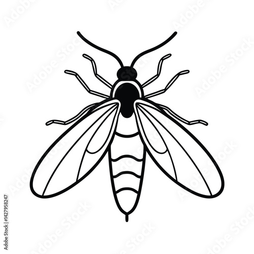 Minimalist illustration of a mosquito with stripes and wings black and white detailed vector design