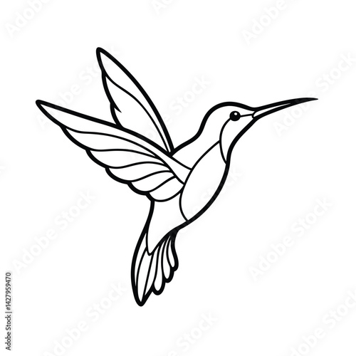 Elegant hummingbird outline graphic illustration for creative projects with clean lines in minimalist style on white background