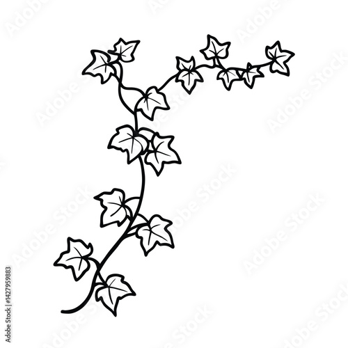 Elegant ivy vine border in black and white botanical design for wedding invitations and decorative elements