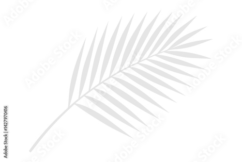 A soft palm leaf silhouette vector in a warm beige tone with 30% opacity, ideal for use in summer-themed presentations, overlays, or minimal design projects.