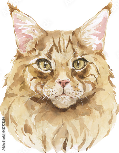 Watercolor Cat Portrait. Hand drawn Pet Breed. Design element isolated