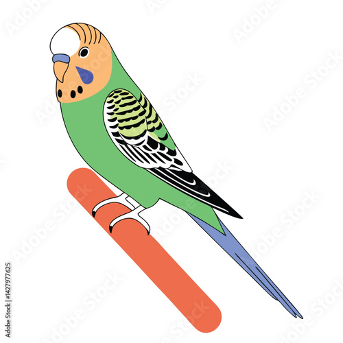 Budgerigar Budgie Bird Illustration Colorful Parakeet for Creative Projects