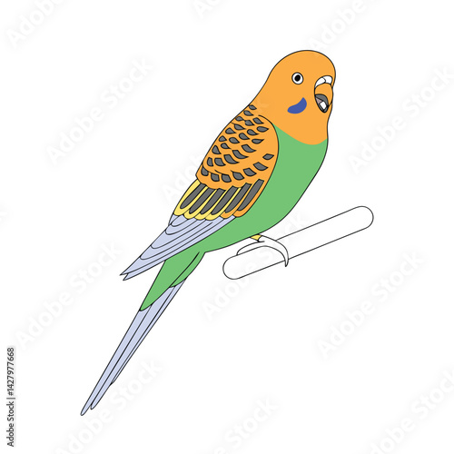 Budgerigar Budgie Bird Illustration Colorful Parakeet for Creative Projects