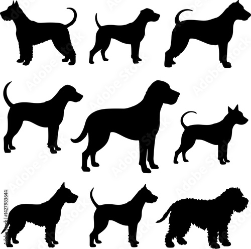 silhouettes of dogs in various poses vector set bundle