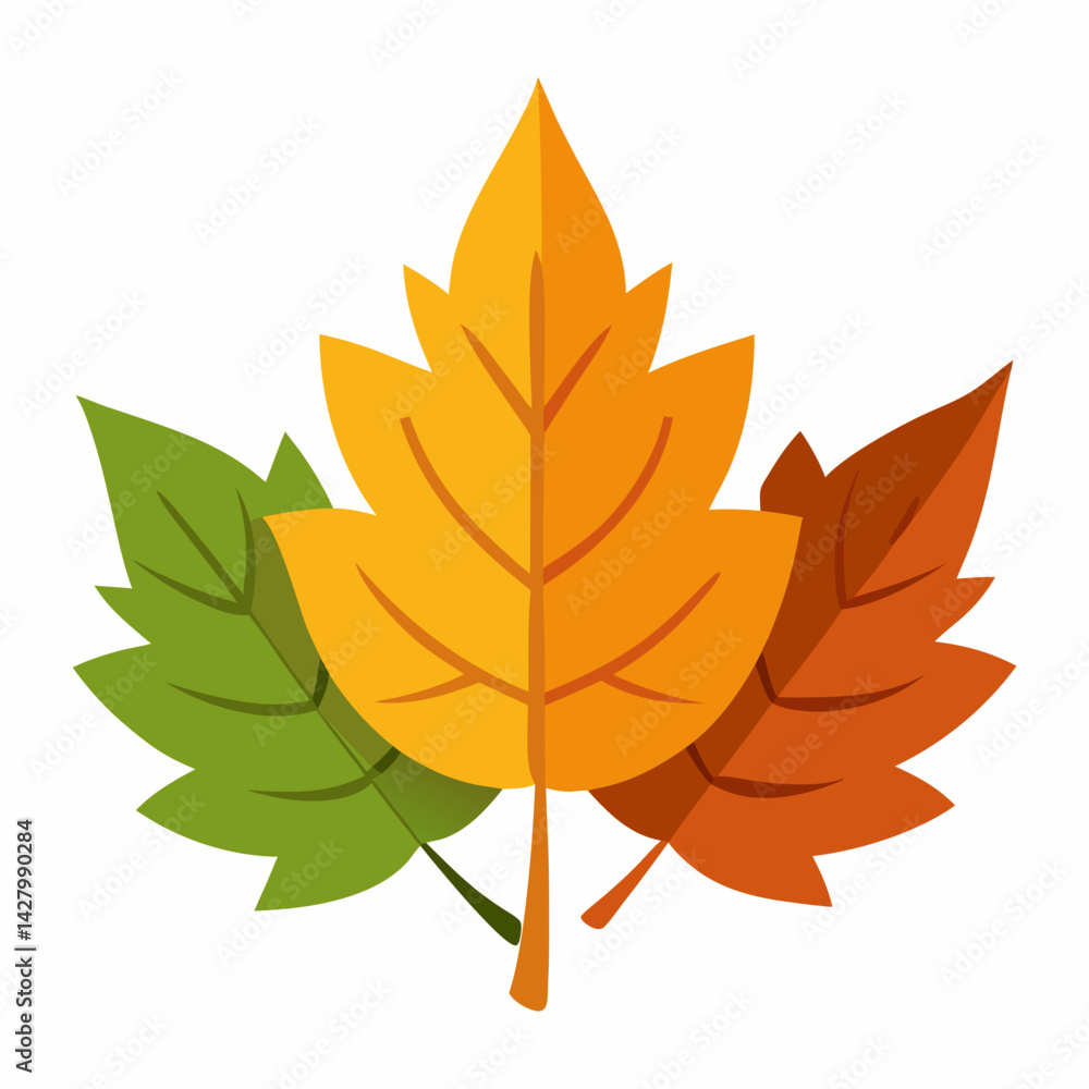 Fototapeta premium autumn-leaves-vector 