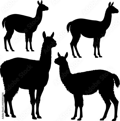 set of llama vector silhouette illustration