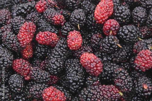 Close up of fresh mulberry berries