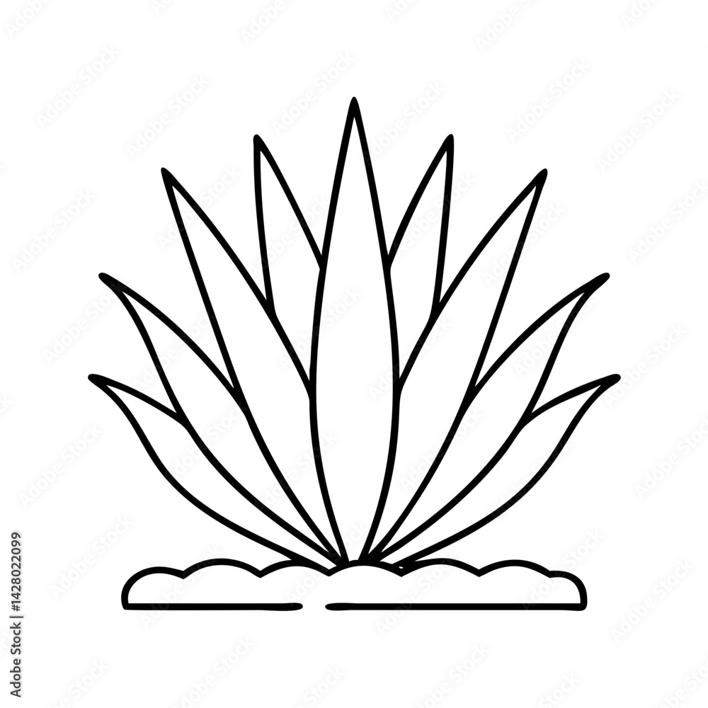 agave plant icon, agave plant line art - simple line art of agave plant, perfect for agave plant logos and icons agave plant icon, agave plant line art - simple line art of agave plant, perfect for agave plant logos and icons