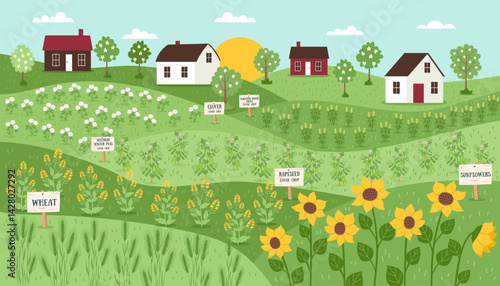 Sustainable and regenerative farming concept banner. Gardening nature landscape. Fields with different types of cover crops, farmhouse and greenhouse. Vector hand drawn flat background.