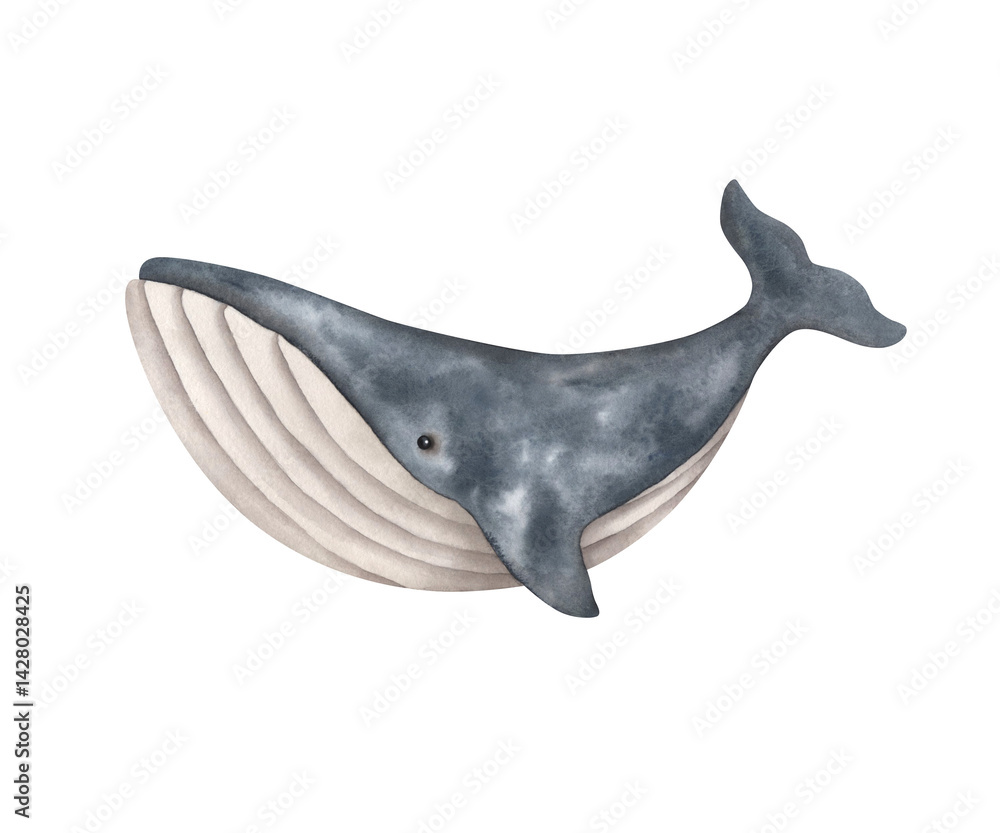Fototapeta premium Under the sea. Watercolor hand-drawn illustration with whale. Animals and plants of the underwater world. Sea-themed celebration. Cute cartoon elements for kids.
