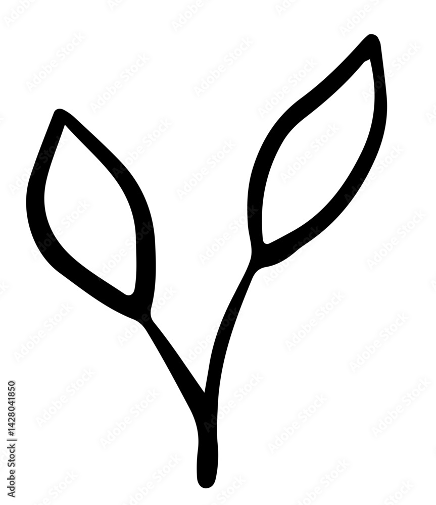 plants leaves hand drawing element plants leaves hand drawing element