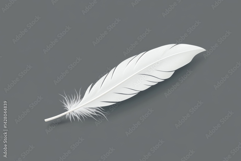 Obraz premium White feather illustration