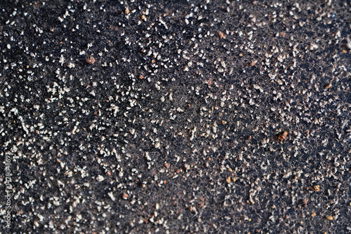 Sawing wood with a sawmill in a factory
