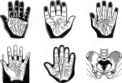 Palmistry hand illustration set of hand drawn palm reading and hip bone anatomy