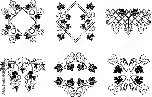 Elegant black and white grapevine frame and border design element collection