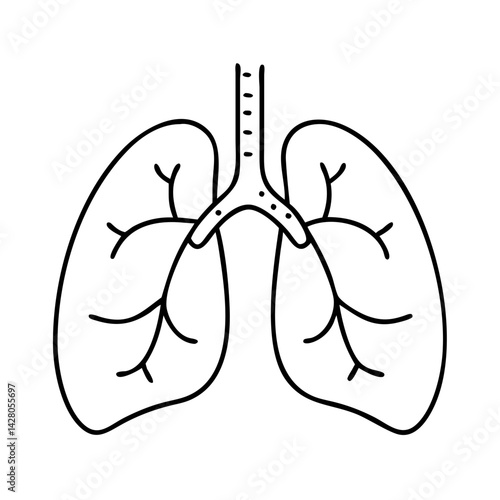lungs for breathing exercises icon, lungs for breathing exercises line art - simple line art of lungs for breathing exercises, perfect for lungs for breathing exercises logos and icons