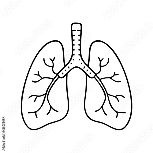 lungs for breathing exercises icon, lungs for breathing exercises line art - simple line art of lungs for breathing exercises, perfect for lungs for breathing exercises logos and icons