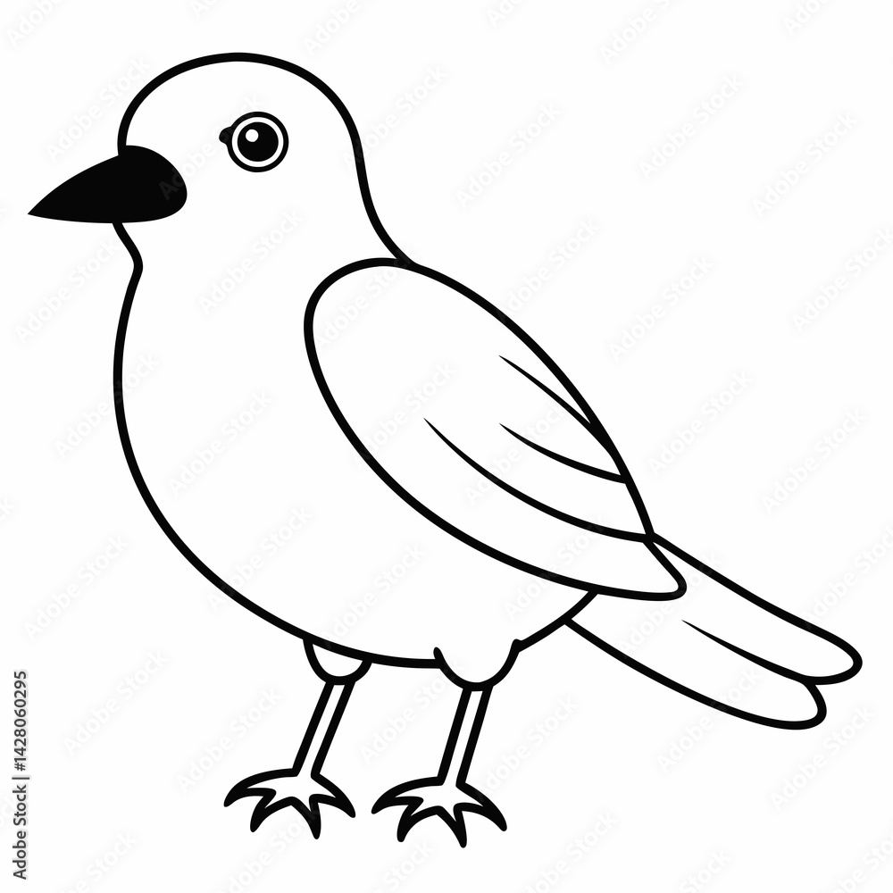 vector illustration of a bird vector illustration of a bird