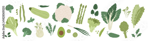 Green salad leaves. Fresh organic vegetables, farm vegetarian food, cauliflower, zucchini, beans, asparagus, healthy diet, cooking ingredients cartoon flat isolated garish vector set