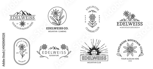 Edelweiss emblems. Botanical design labels, mountain hiking floral symbol, outdoor adventure stickers with wild flowers, decorative logo, minimal contemporary graphic, tidy vector set