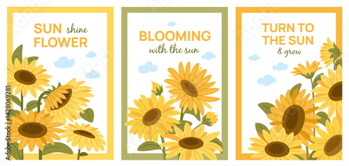 Decorative sunflowers cards. Summer beautiful plants, agricultural yellow flowers, oilseeds harvest, blooming flora background, botanical posters, cartoon flat isolated garish vector set
