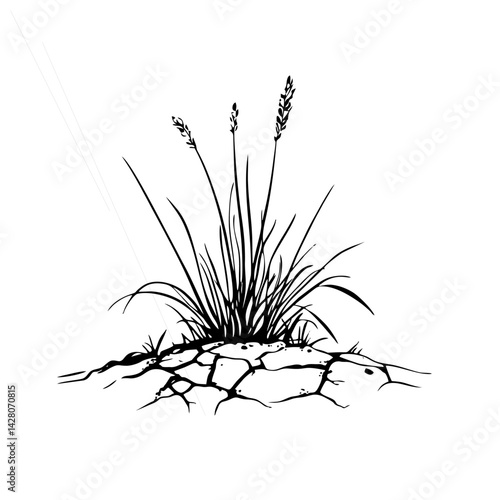 Wild Grass Silhouette - Vecto...