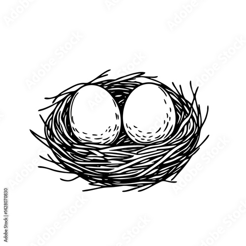 Vector Bird Nest - Natural Ha...