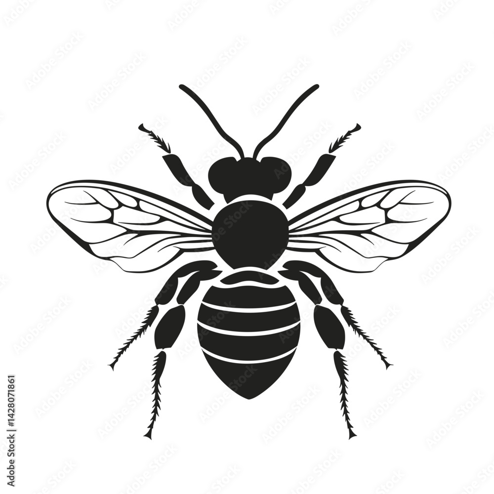 Bee illustration in black and white for ecological and educational purposes Bee illustration in black and white for ecological and educational purposes