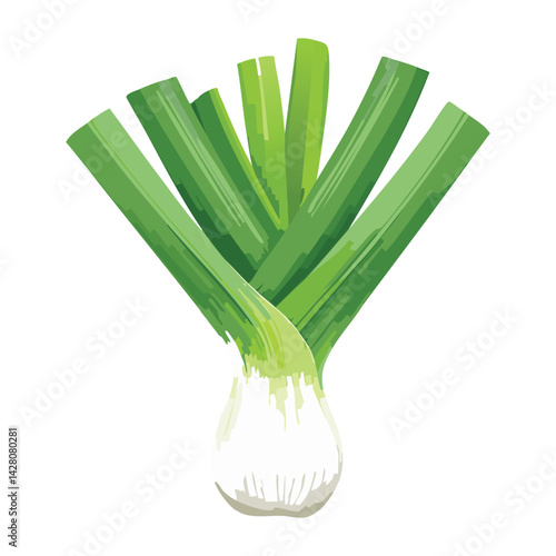 Fresh Green Spring Onion for Healthy Diet
