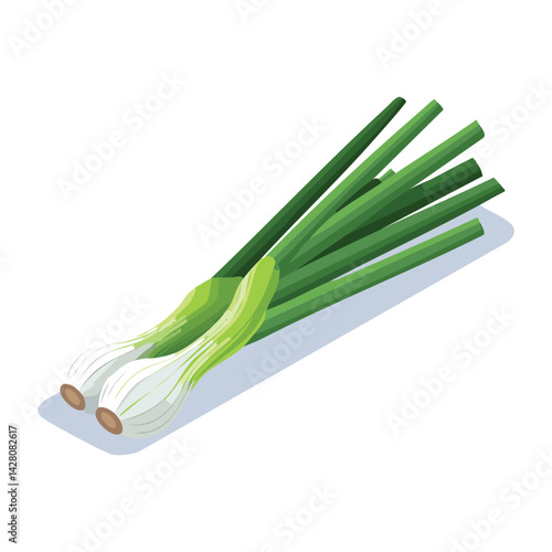 Healthy Green Onion for Culinary Use
