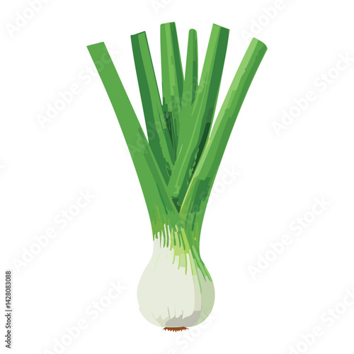 Organic Green Spring Onion for Cooking
