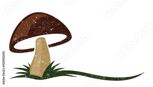 The forest mushroom with a green grass.