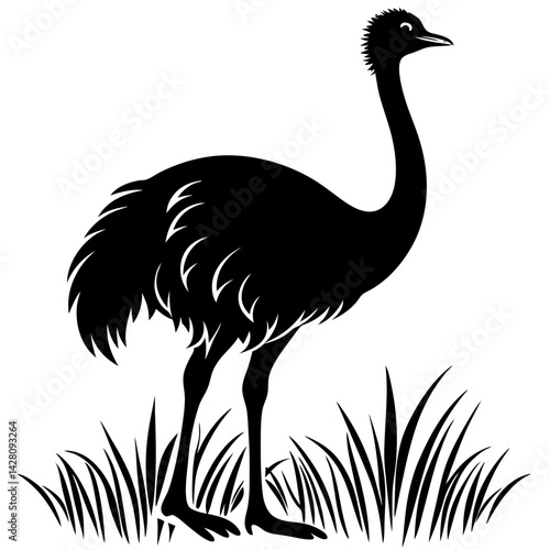 Silhouette of an emu standing in the grass