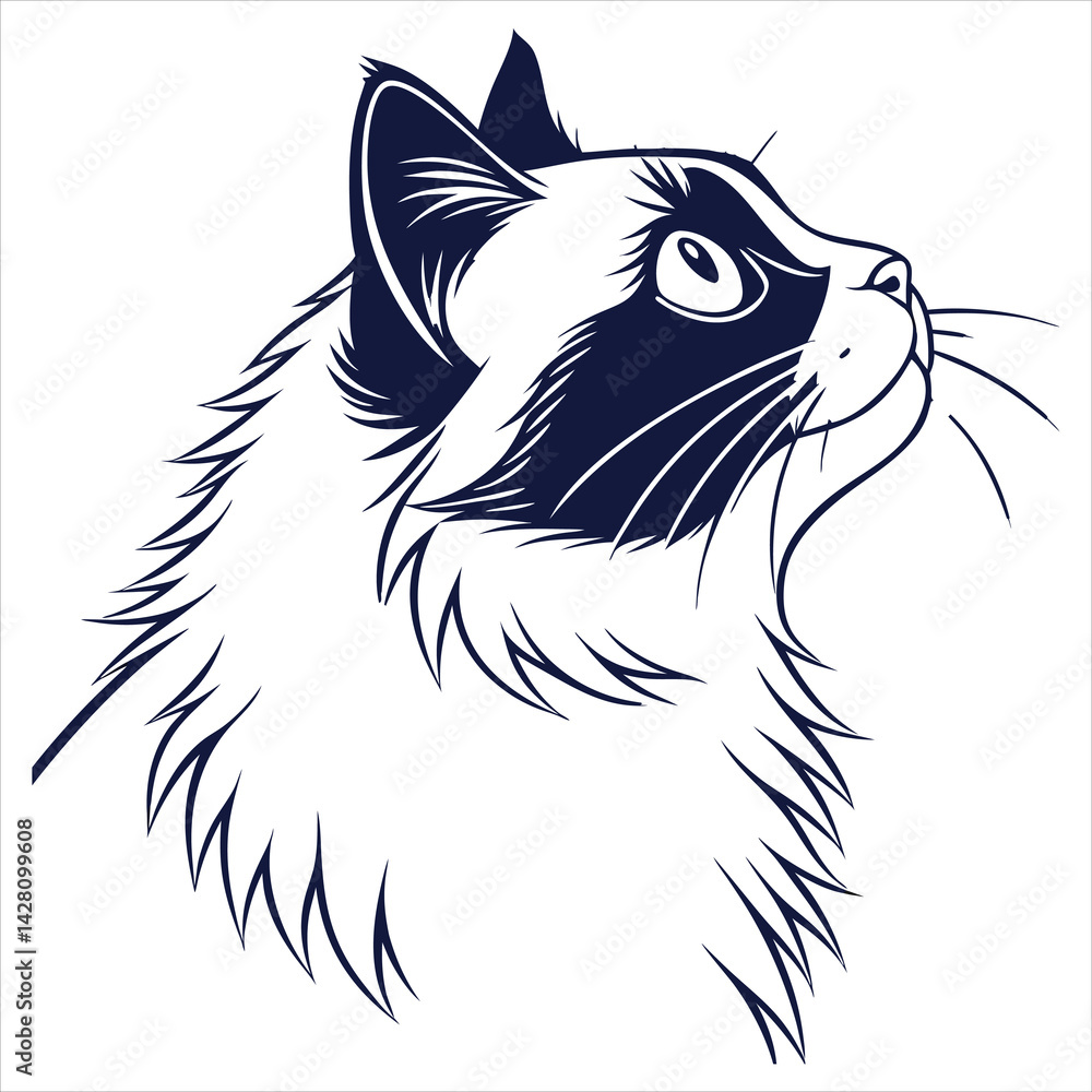 Obraz premium silhouette ragdoll cat on white background